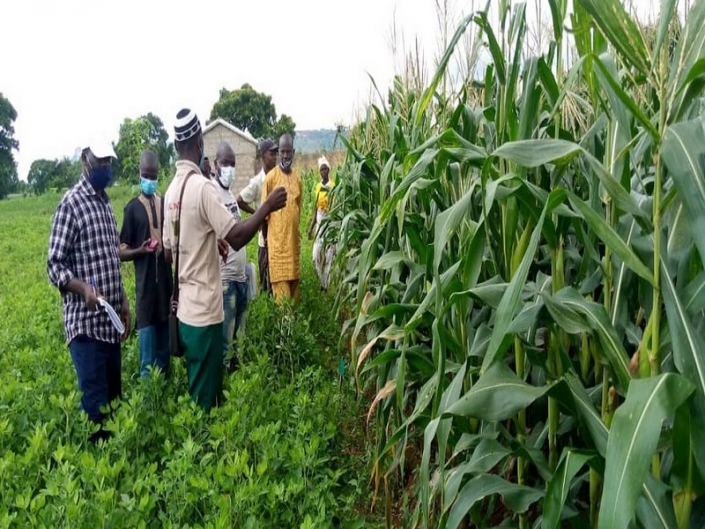 image-article-8-ICAT