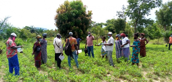 Mission de supervision d’une coperative